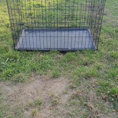 dog cage