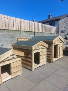 Pressure treated dog kennels