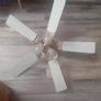 Fan Light Image 2