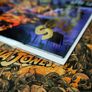 Wrath of the Furies #2 ! Gold Foil Edition ! First Printing ! 1997 ! by Avatar Press ! Image 7