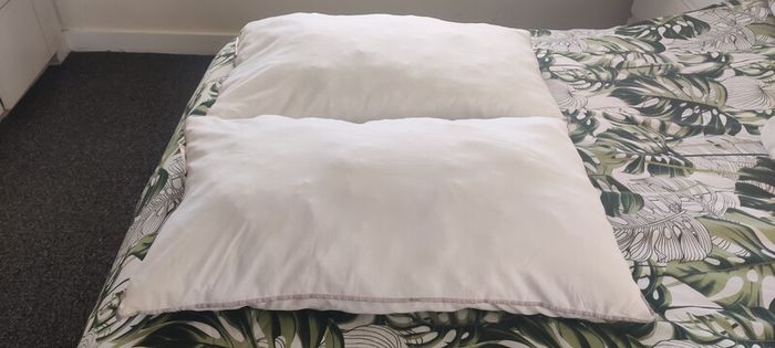 2 Bed pillows