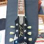 Epiphone 30th Anniversary Lynyrd Skynyrd Les Paul Image 4