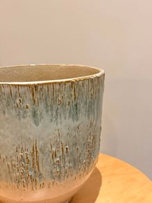 Pant pot / vase