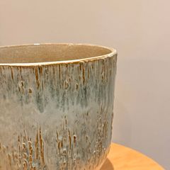 Pant pot / vase