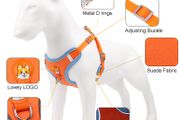 No Pull Pet Dog Harness and Leash Set Adjustable Puppy Cat Harness Vest Reflective Walking Lead Leash For Small Dogs Chihuahua