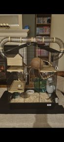 Hamster cage