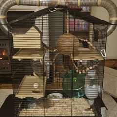 Hamster cage