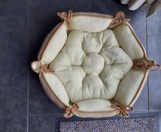 CUTE dog bed