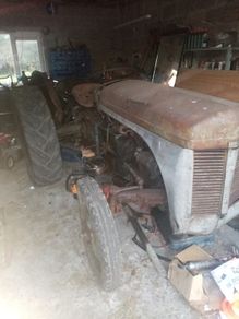 Ferguson 20