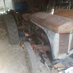 Ferguson 20