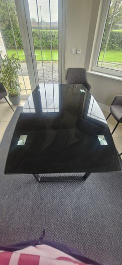 Kitchen/Living Room Table