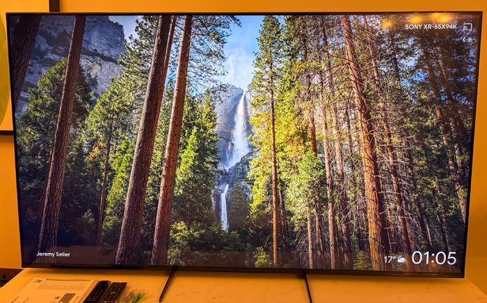TV (Sony) 65in 4k