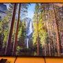 TV (Sony) 65in 4k Image 3