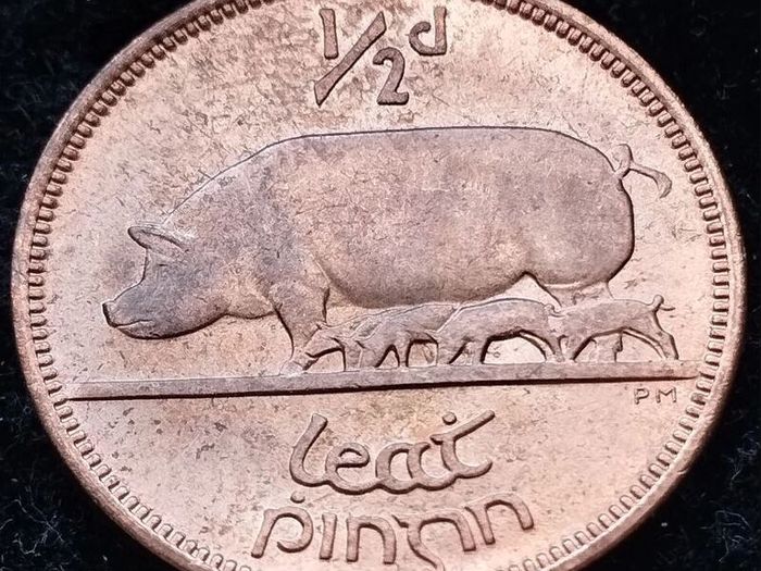 [#305] - Ireland 1967 | Irish 1/2d | Irish Half Penny | KM.10 | UNC