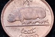 [#305] - Ireland 1967 | Irish 1/2d | Irish Half Penny | KM.10 | UNC