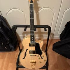 semi acoustic guitar