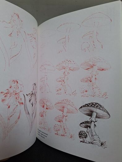 SALE! Set of 4 DRAW 50 drawing books: Dinosaurs, Flowers, Animals and Endangered Animals