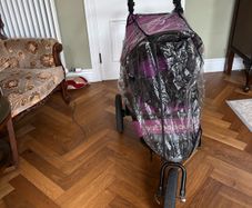 jogger buggy