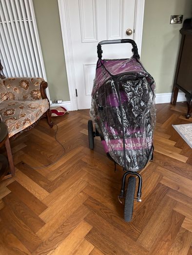 jogger buggy