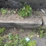 Railway Sleepers Image 2
