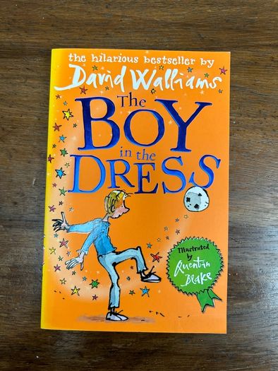 David Walliams Books x 5