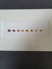Holly Somerville print
