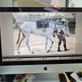 Apple iMac 27" 5K i9 1tb 36gb ddr4 ram Image 6