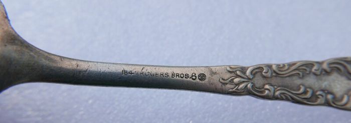 Vintage silver-plated  1847 Rogers Bros in Vintage Case