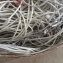 ethernet lot Image 2