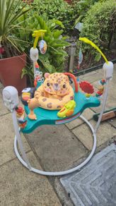 Fisher-Price Baby Bouncer
