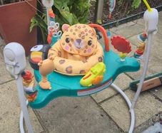 Fisher-Price Baby Bouncer