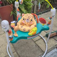 Fisher-Price Baby Bouncer