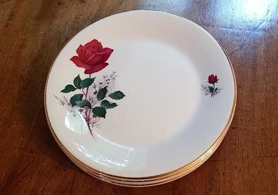 Arklow Pottery Early Vintage Set 5 China Desert Plates
