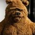shaynebear