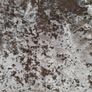 curtians 66x81 velvet ring tops Image 10