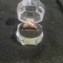 gold plate ring Image 2