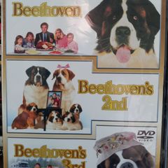 Beethoven 1-3 Dvd Boxset St Bernard Dog Family Movies