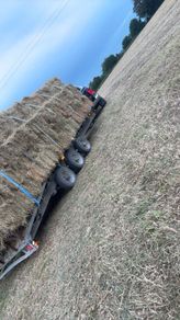 Hay