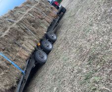 Hay