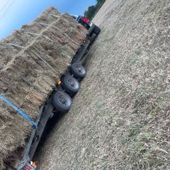Hay
