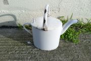 watering can  emanel  white vintage/antique  great decorative piece gift present home house garden decoration prop photo gallery art deco