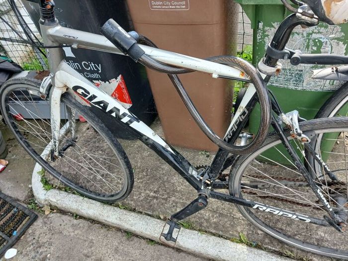 giant bike