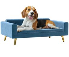 Dog Sofa Dog Bed Scandinavian Design Plush Cushion Gold Metal Legs 94 x 59.5 x 31.5 cm Silky Velvet Blue