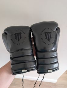 Torres Medina 14oz Boxing Gloves