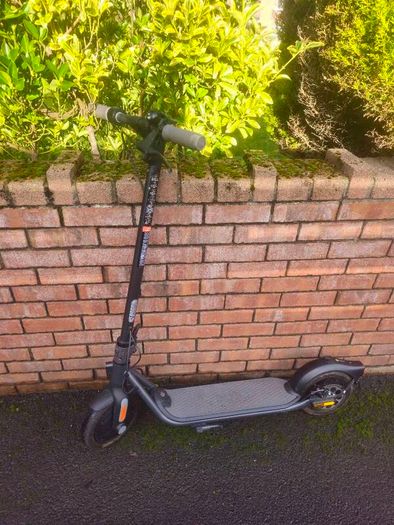 Ninebot by Segway Kickscooter F25E II Electric Scooter
