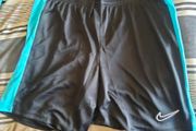 Nike dri fit mens shorts/Slim fit XL