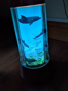 rotating picture light