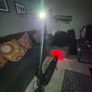 Scooter Image 6