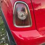 2008 Mini Cooper Parts Image 4