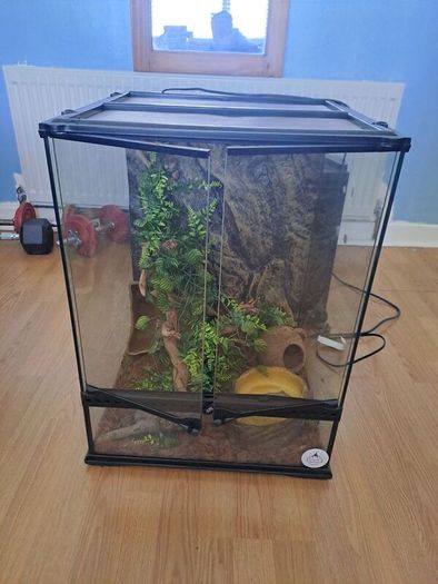 reptile glass home used as a snake house